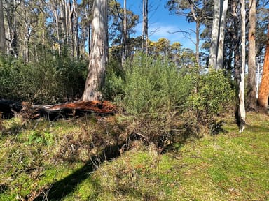 Property Lot 5 Gardiners Creek Road, ST MARYS TAS 7215 IMAGE 0