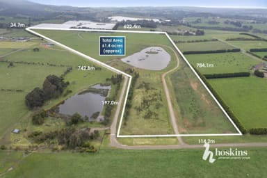 Property 20 Springfield Road, Gruyere VIC 3770 IMAGE 0