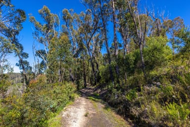 Property Lot 4 Braidwood Road, Sassafras NSW 2622 IMAGE 0