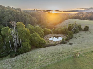 Property 822 Mount Hicks Road, Mount Hicks TAS 7325 IMAGE 0