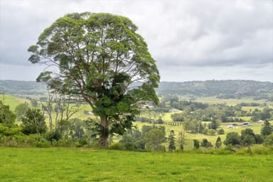 Property 366 Dunoon Road, Tullera NSW 2480 IMAGE 0