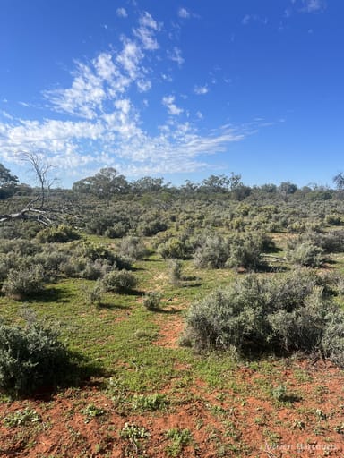 Property Kidman Way Maroona Station, Bourke NSW 2840 IMAGE 0