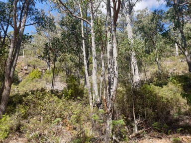Property Lot 1 Halls Track Road, PELVERATA TAS 7150 IMAGE 0