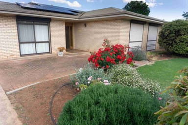 Property 10 Silver Street, Cleve SA 5640 IMAGE 0