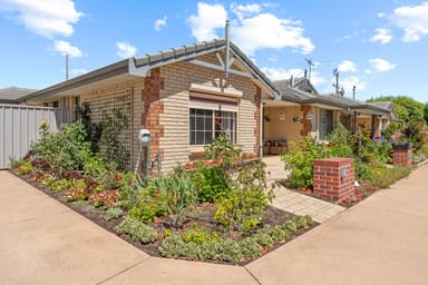 Property 3/9 Thomas Street, Boyanup WA 6237 IMAGE 0