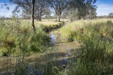 Property CA29A Baddaginnie-Benalla Road, Baddaginnie VIC 3670 IMAGE 0