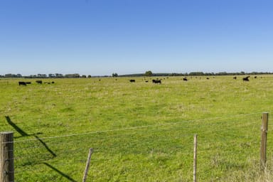 Property 91, Riddoch Highway, MINGBOOL SA 5291 IMAGE 0