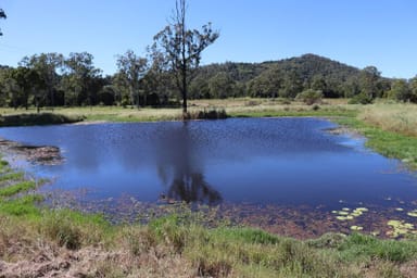 Property 34 Bonnick Road, Gunalda QLD 4570 IMAGE 0