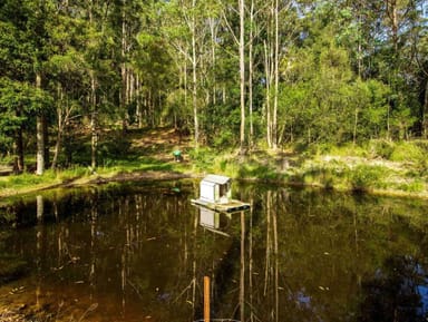 Property 11187 Princes Highway, Benandarah NSW 2536 IMAGE 0
