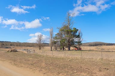 Property 124 Old School Road, Hill Top NSW 2628 IMAGE 0