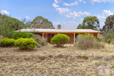 Property 369 Pimpala Road, Cockatoo Valley SA 5351 IMAGE 0