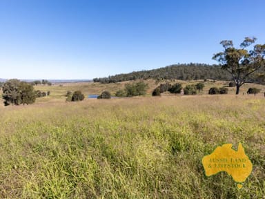 Property 275 Nantglyn Road, MUNDUBBERA QLD 4626 IMAGE 0