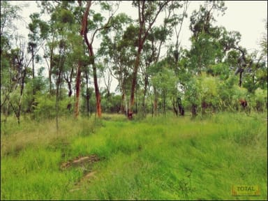 Property CONDAMINE FARMS QLD 4357 IMAGE 0