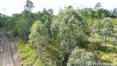 Property Lot 42 Lagoon Pocket Road, LAGOON POCKET QLD 4570 IMAGE 0