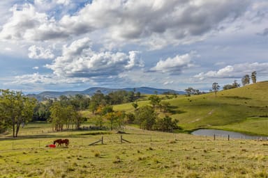 Property 1712 Stroud Hill Road, Dungog NSW 2420 IMAGE 0