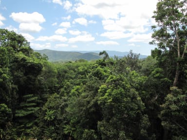 Property Lot 24 Forest Creek Road, Daintree QLD 4873 IMAGE 0