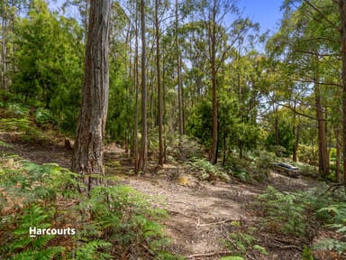 Property Lot 1 Jarvis Road, SNUG TAS 7054 IMAGE 0