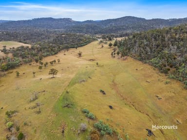 Property 5601 Tasman Highway, BUCKLAND TAS 7190 IMAGE 0