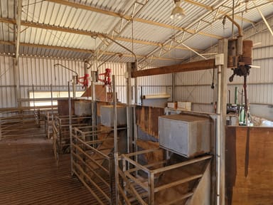 Property Lot 100 Carnamah-Perenjori Road, Carnamah WA 6517 IMAGE 0