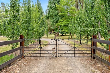 Property 1168 Connelly's Creek Road, Taggerty VIC 3714 IMAGE 0