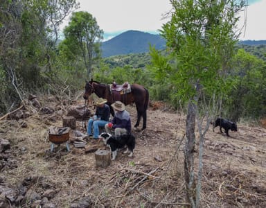 Property Lot 7 Pincott Road, Mount Colliery QLD 4370 IMAGE 0