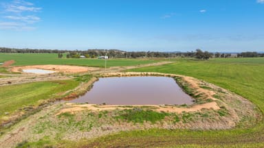 Property 326 Wightman Road, GUNNEDAH NSW 2380 IMAGE 0