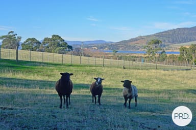 Property lot 2, / Boyer Road, Dromedary TAS 7030 IMAGE 0