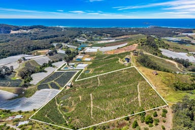 Property Lot 3 Puhos Road, Sandy Beach NSW 2456 IMAGE 0