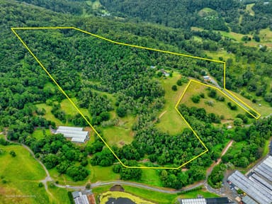 Property 50 Hollindale Road, Guanaba QLD 4210 IMAGE 0