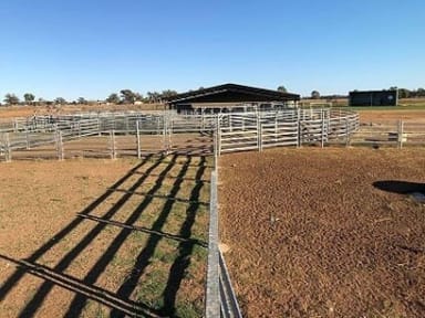 Property 449 Willawang Road, Warroo NSW 2871 IMAGE 0