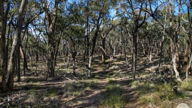 Property Lot 18 Rifle Butts Road, Beaufort VIC 3373 IMAGE 0