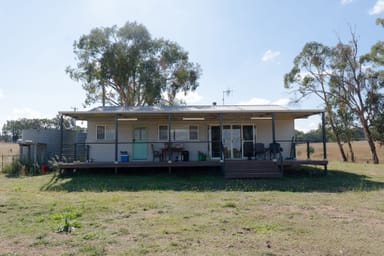Property "Glen Alvin" & "Lockyer", ELONG ELONG NSW 2831 IMAGE 0