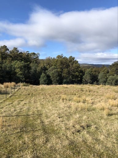 Property 82 Grahams Road, BLACK HILLS TAS 7140 IMAGE 0