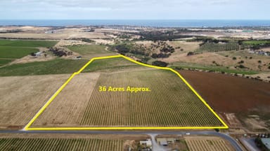 Property Lot 202 California Road, Mclaren Vale SA 5171 IMAGE 0