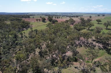 Property MERRIWA NSW 2329 IMAGE 0