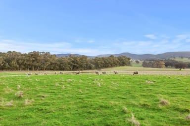 Property 2505 Seymour-Tooborac Road, Tooborac VIC 3522 IMAGE 0