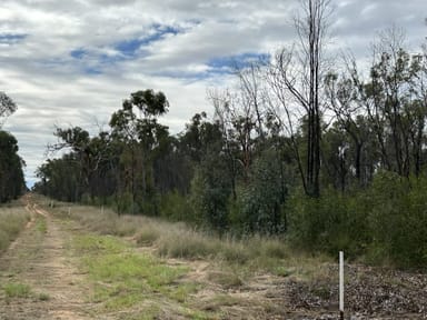 Property Lot 5 Pine Ridge Road, Condamine Farms QLD 4357 IMAGE 0