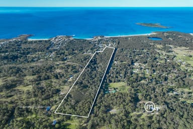 Property 1 2 3 4, Lot 4 Forster Drive, Bawley Point NSW 2539 IMAGE 0