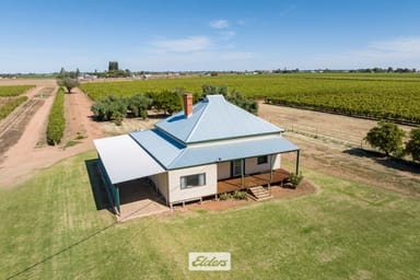 Property 207 Fifth Street, Merbein VIC 3505 IMAGE 0