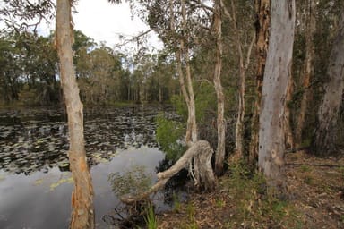 Property Lot 90 Pacific Drive, DEEPWATER QLD 4674 IMAGE 0