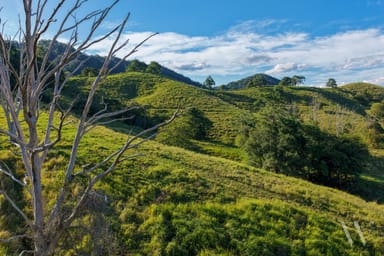 Property 29 Musavale Road, Eerwah Vale QLD 4562 IMAGE 0