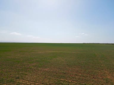 Property 'Daly's' Collins Road, Willowie SA 5431 IMAGE 0