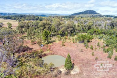 Property 11, 2530 Torrington Road, TORRINGTON NSW 2371 IMAGE 0