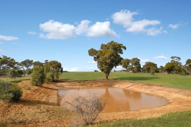 Property LOT 29 ILLAWARRA ROAD, Illawarra VIC 3381 IMAGE 0