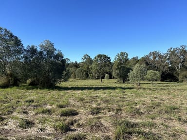 Property 31 Arborthree Road, Glenwood QLD 4570 IMAGE 0