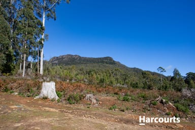 Property Lot 0 Highland Lakes Road, GOLDEN VALLEY TAS 7304 IMAGE 0