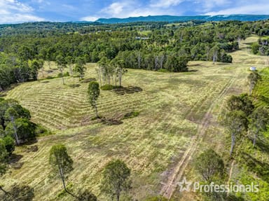 Property 247 Maher Road, COLES CREEK QLD 4570 IMAGE 0