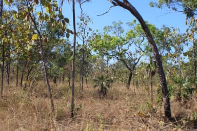 Property 1780 Coach Road, Batchelor NT 0845 IMAGE 0