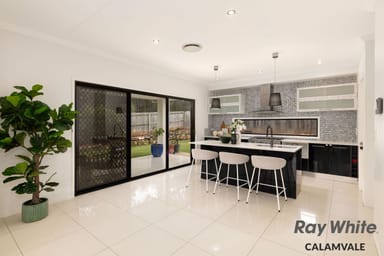 Property 64 Tweeddale Circuit, DREWVALE QLD 4116 IMAGE 0