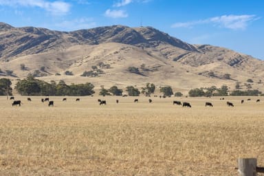 Property Razorback & Kercolo Mount Bryan East Road, Mount Bryan East SA 5419 IMAGE 0